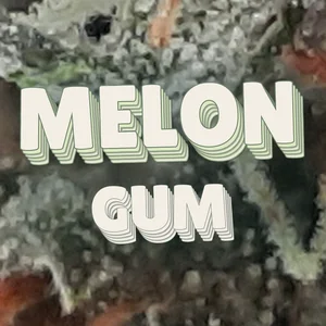 Melon Gum Cannabis Strain