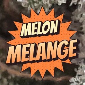 Melon Melange Cannabis Strain