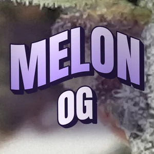 Melon OG Cannabis Strain