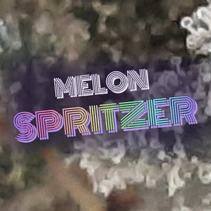 Melon Spritzer Cannabis Strain