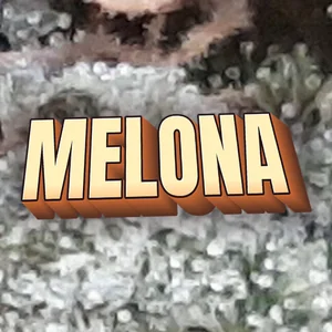 Melona Cannabis Strain