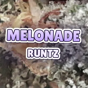Melonade Runtz Cannabis Strain