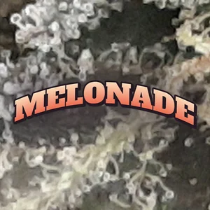 Melonade Cannabis Strain