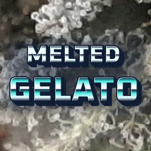 Melted Gelato Cannabis Strain