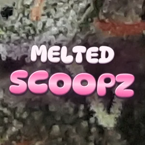 Melted Scoopz Cannabis Strain
