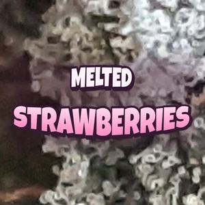 Melted Strawberries Cannabis Strain