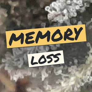 Memory Loss Cannabis Strain
