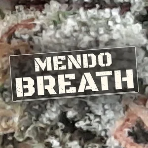 Mendo Breath Cannabis Strain