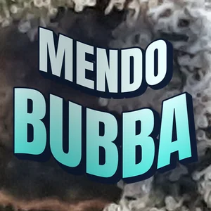 Mendo Bubba Cannabis Strain
