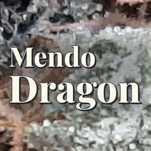 Mendo Dragon Cannabis Strain