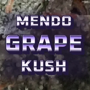 Mendo Grape Kush Cannabis Strain