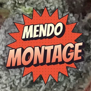 Mendo Montage Cannabis Strain