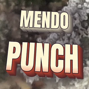 Mendo Punch Cannabis Strain