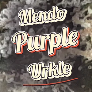 Mendo Purple Urkle Cannabis Strain