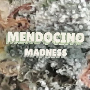 Mendocino Madness Cannabis Strain