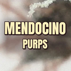 Mendocino Purps Cannabis Strain