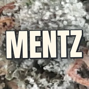 Mentz Cannabis Strain