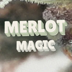 Merlot Magic Cannabis Strain