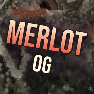 Merlot OG Cannabis Strain