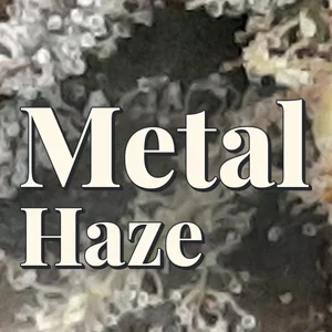 Metal Haze Cannabis Strain