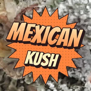 Mexican Kush Cannabis Strain