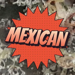 Mexican Cannabis Strain
