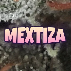 Mextiza Cannabis Strain