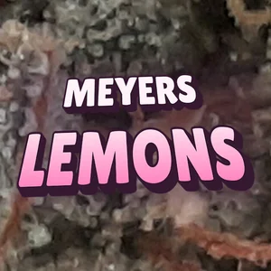 Meyers Lemons Cannabis Strain