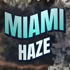 Miami Haze Cannabis Strain