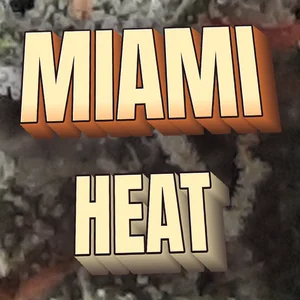 Miami Heat Cannabis Strain