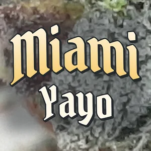 Miami Yayo Cannabis Strain