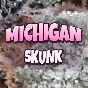 Michigan Skunk Cannabis Strain