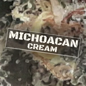 Michoacan Cream Cannabis Strain