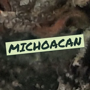 Michoacan Cannabis Strain