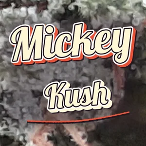 Mickey Kush Cannabis Strain