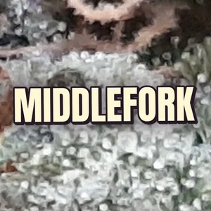 Middlefork Cannabis Strain