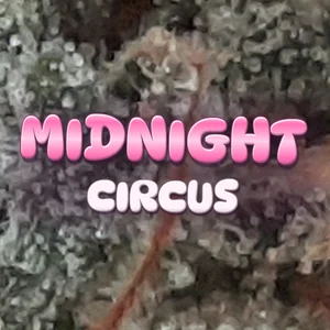 Midnight Circus Cannabis Strain