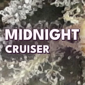 Midnight Cruiser Cannabis Strain