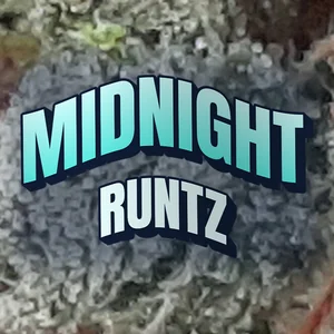 Midnight Runtz Cannabis Strain