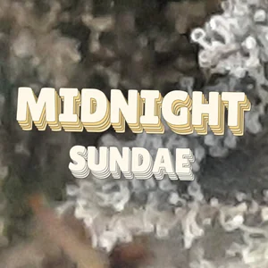 Midnight Sundae Cannabis Strain