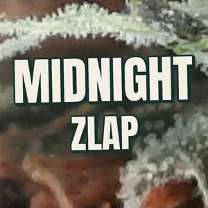 Midnight Zlap Cannabis Strain