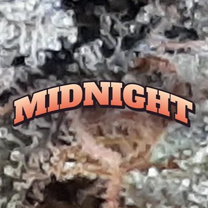 Midnight Cannabis Strain