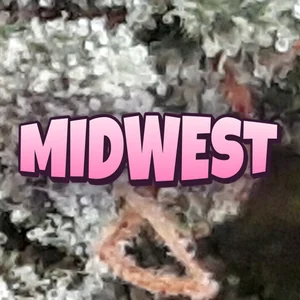 Midwest Cannabis Strain
