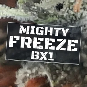 Mighty Freeze BX1 Cannabis Strain