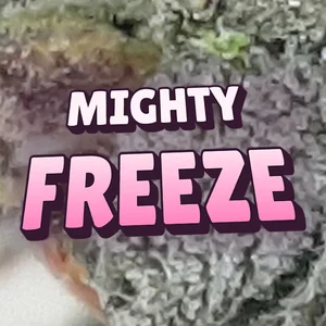 Mighty Freeze Cannabis Strain