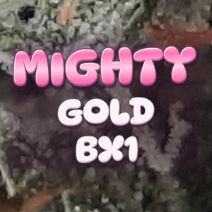 Mighty Gold BX1 Cannabis Strain