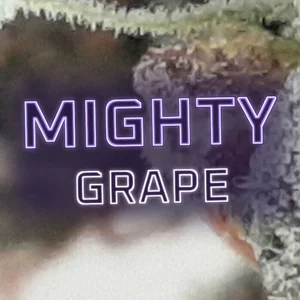 Mighty Grape Cannabis Strain