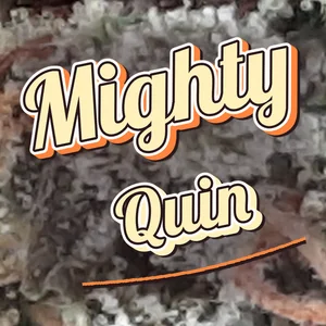 Mighty Quin Cannabis Strain