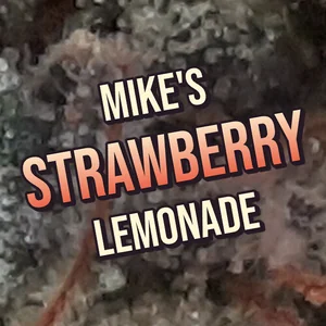 Mike's Strawberry Lemonade Cannabis Strain