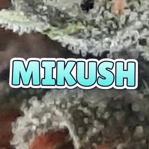 Mikush Cannabis Strain